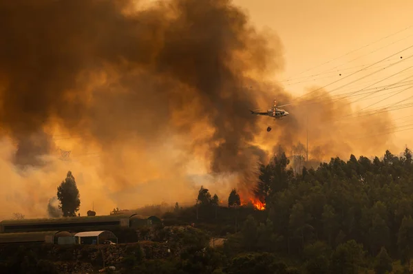 Brandweerhelikopter Vecht Tegen Een Bosbrand Buurt Van Een Kas Overdag — Stockfoto