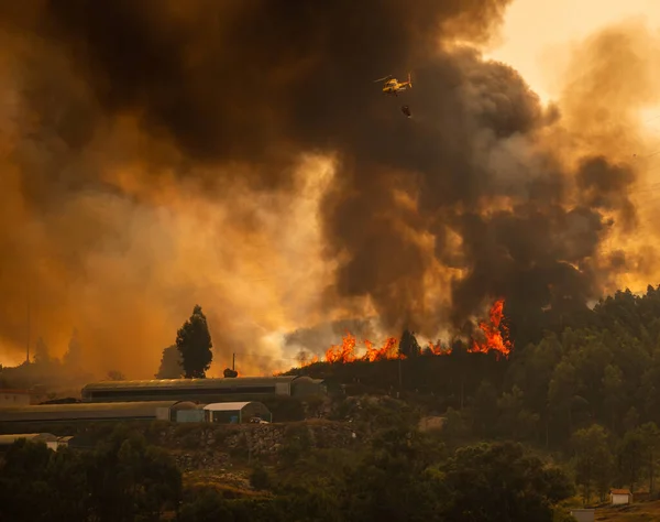 Helicóptero Bomberos Luchando Contra Incendio Forestal Cerca Invernadero Durante Día — Foto de Stock