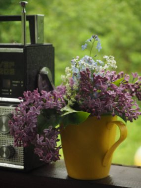 Leylak dalları camdaki bir sürahiye gerilmiş ve retro radyo alıcısı var. Leylak pencerede duruyor. Yakınlarda retro radyo alıcısı var.. 