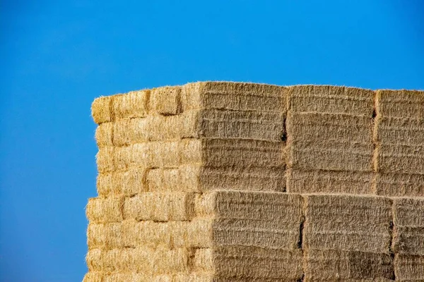 toplanacak saman yığını