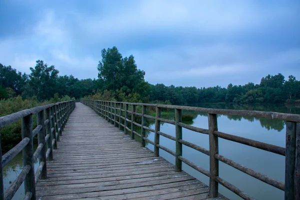 path between trees on a morning in early autumn