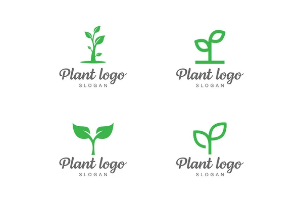Plant Logo Design Vector Collection — Stok Vektör