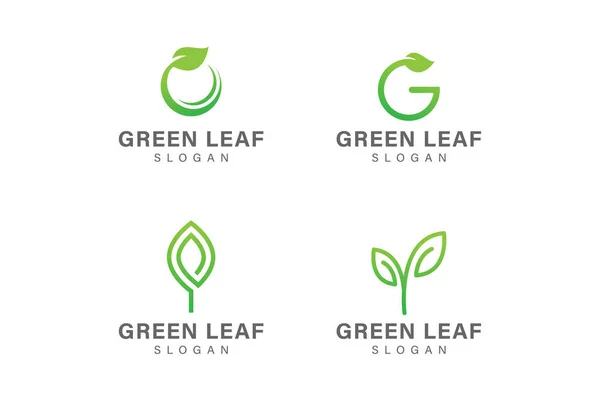 Green Leaf Logo Design Vector Collection — Vetor de Stock