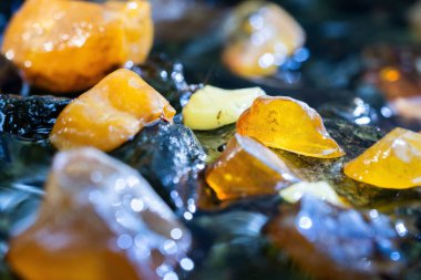 Amber bir dağ nehrinde. nugget, reçine, eski, güzel odak noktası.