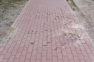 BUCHA, UKRAINE - 20 Haziran 2022: yaya geçidi, kaldırım, asfalt üzerindeki patlama krateri.