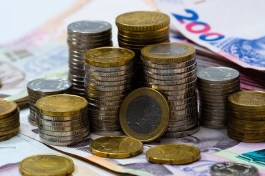 Avro parası. Avro nakit geçmişi. Avro paraları ve banknotlar