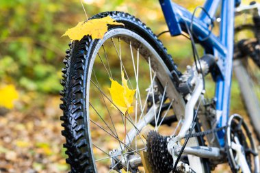 Bicycle in the autumn forest closeup . Yellow autumn leaves. Concept of autumn Cycling and sports.