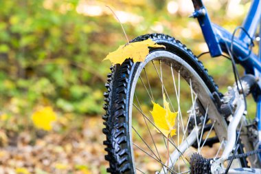 Bicycle in the autumn forest closeup . Yellow autumn leaves. Concept of autumn Cycling and sports.
