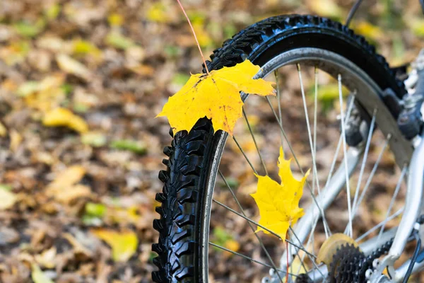 Bicycle Autumn Forest Closeup Yellow Autumn Leaves Concept Autumn Cycling — Zdjęcie stockowe