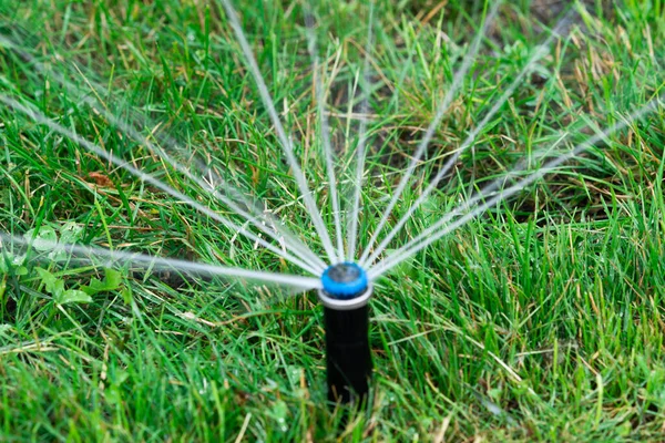 Irrigation Equipment Watering Green Grass Horizontal Composition — Zdjęcie stockowe