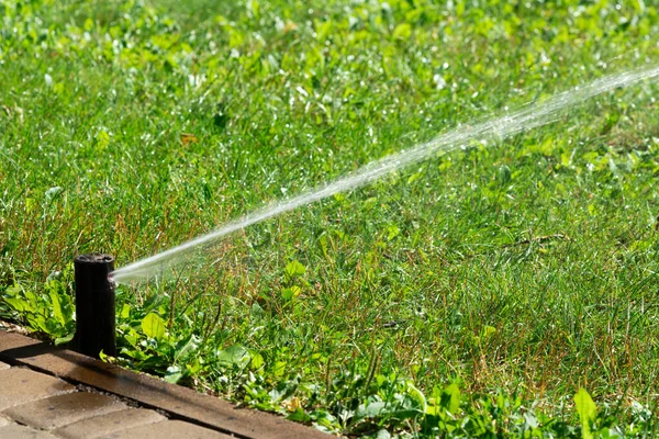 Primo Piano Sistema Automatico Irrigazione Del Giardino Con Diversi Irrigatori — Foto Stock