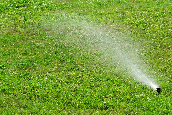 Tuinirrigatiesysteem Gazon Automatische Gazon Sprinkler Besproeiing Van Groen Gras Selectieve — Stockfoto