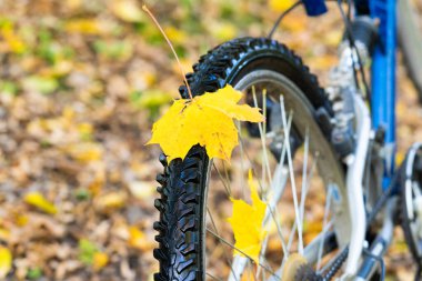 Bicycle in the autumn forest closeup . Yellow autumn leaves. Concept of autumn Cycling and sports.