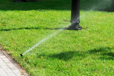 Automatic sprinkler watering in the garden at summer day