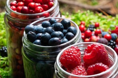 Assorted berries fresh mix colorful arrangement in forest