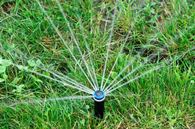 Irrigation equipment watering green grass. Horizontal composition