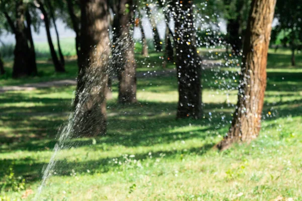 Taman Irigasi Sistem Rumput Otomatis Rumput Sprinkler Mengairi Rumput Hijau — Stok Foto