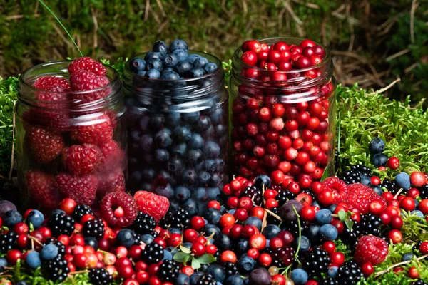Berries Fresh Assorted Mix Overhead Arrangement Close Studio Dark Background — 스톡 사진