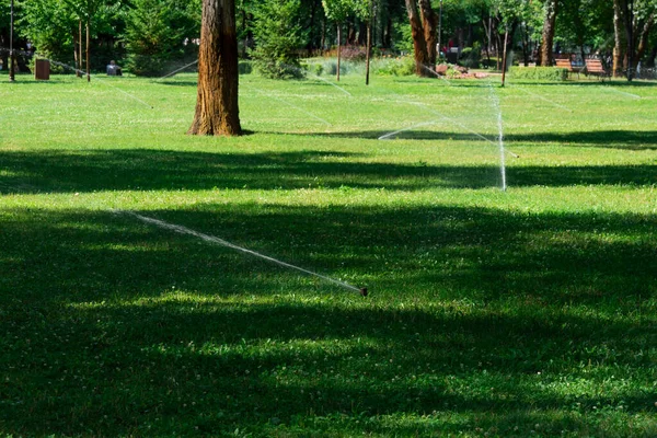 Automatic Sprinkler Watering Garden Summer Day — Stock Photo, Image