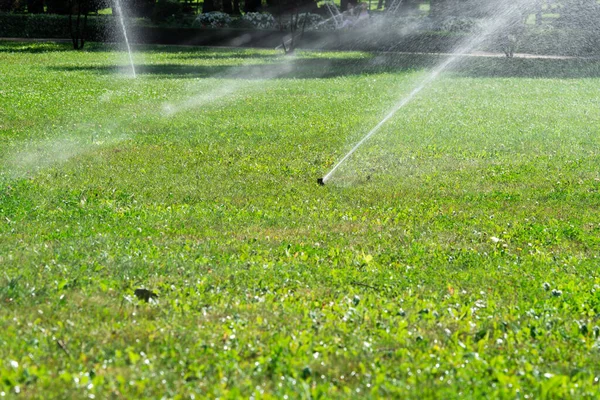 Close Automatisch Tuin Bewatering Systeem Met Verschillende Sprinklers Geïnstalleerd Onder — Stockfoto