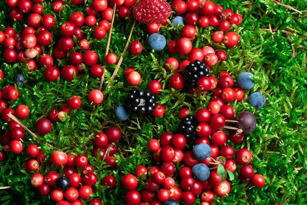 Berries Fresh Assorted Mix Overhead Arrangement Close Studio Dark Background — ストック写真