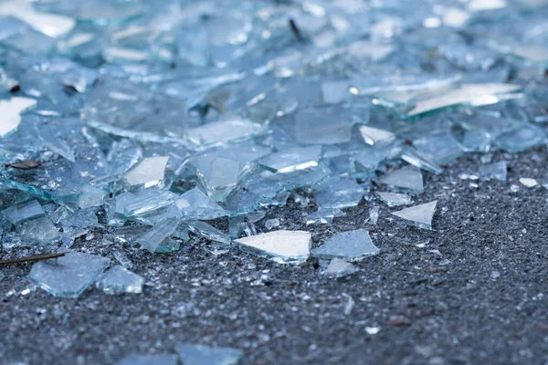 ガラスの破片だ 屋外で地面に白いガラスの破片や岩などの背景 ガラス片間の松の針 — ストック写真