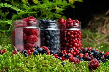 Berries fresh assorted mix overhead arrangement close up in studio on dark background