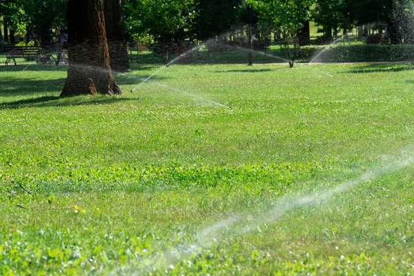 Close Automatisch Tuin Bewatering Systeem Met Verschillende Sprinklers Geïnstalleerd Onder — Stockfoto