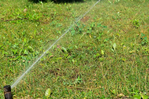 Ogrodowe Nawadnianie Trawnika Automatyczny Zraszacz Trawnika Podlewający Zieloną Trawę Skupienie — Zdjęcie stockowe