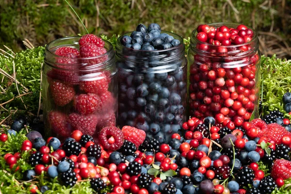 Assorted Berries Fresh Mix Colorful Arrangement Forest — 스톡 사진