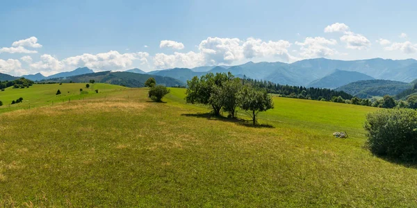 Mala Fatra Bergen Från Zlien Kulle Topp Kysucka Vrchovina Bergen — Stockfoto