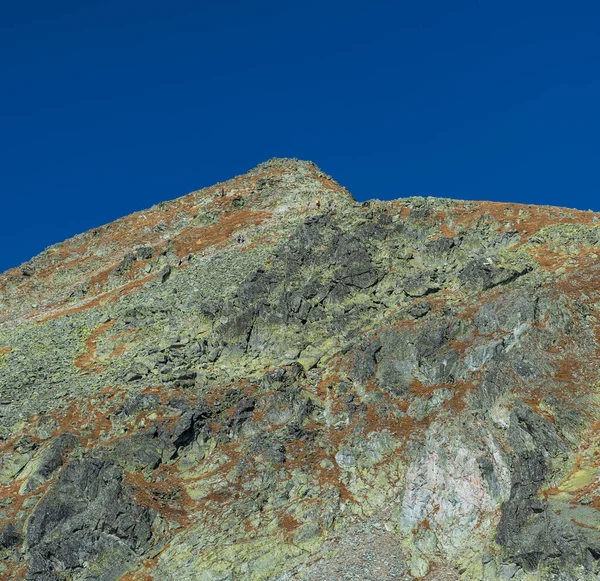 Furkotsky Stit Mountain Peak Vysne Wahlenbergovo Pleso Furkotska Dolina Valey — Stock Photo, Image