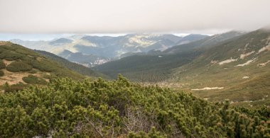 Slovakya 'nın Nizke Tatry dağlarında sonbaharda Tri vody ve Sedlo Polany arasındaki yürüyüş parkurundan manzara