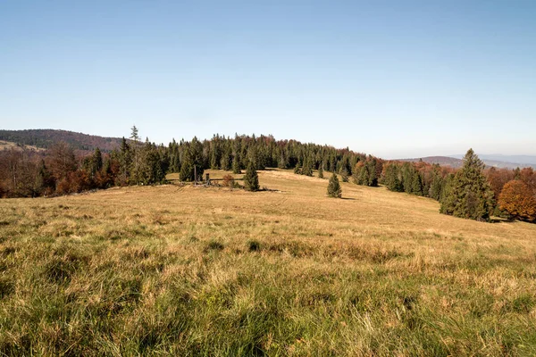 Srubita 山の牧草地の周りの木々 と澄んだ空と美しい秋の日中ビジネス Zywiecki 山脈の背景の丘 — ストック写真