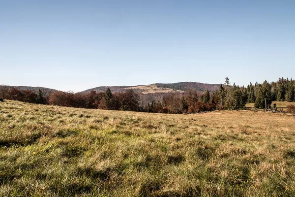 Hala Srubita山の牧草地とHala Malej RaczyとWielka Racza丘の背景に秋にポーランドのBeskid Zywiecki山 — ストック写真