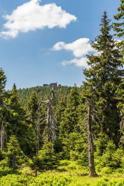 Çek Cumhuriyeti 'nin Jeseniky dağlarındaki Spaleny Vrch ve Vozka tepelerini ayıran dağ geçidinden kayalık oluşumlu Vozka tepesi