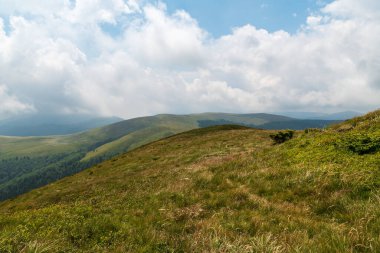 Carpathian mountains in Romania with hills covered by mountain meadows - Valcan mountains from hiking trail near Varful lui Frate hill