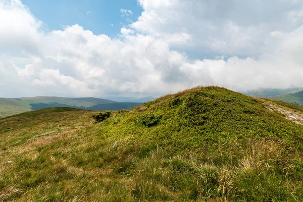 Hill Summit Mountain Meadow Bilberry Shrubs Hills Background Carpathian Mountains — Stockfoto