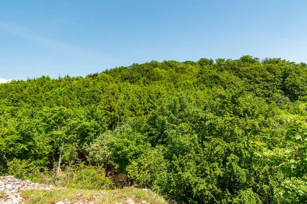 Hill Covered Fresh Green Springtime Deciudous Forest Clear Sky Chmelova —  Fotos de Stock