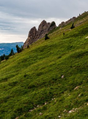 İtalya 'nın Dolomites dağlarındaki Oberholz Hutte tepesinde kaya oluşumları olan dik bir dağ çayırı.