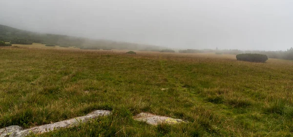Prado Montanha Com Pedras Dia Caminhadas Estreito Durante Dia Nublado — Fotografia de Stock
