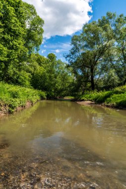 Etrafında ağaçlar ve bulutlu mavi gökyüzü olan nehir - Çek Cumhuriyeti 'nin Ostrava şehrinde Slezskoostravsky Hrad yakınlarında Lucina nehri