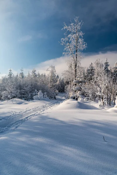 Winterberge Mit Schnee Wanderweg Gefrorenen Bäumen Und Blauem Himmel Mit — Stockfoto