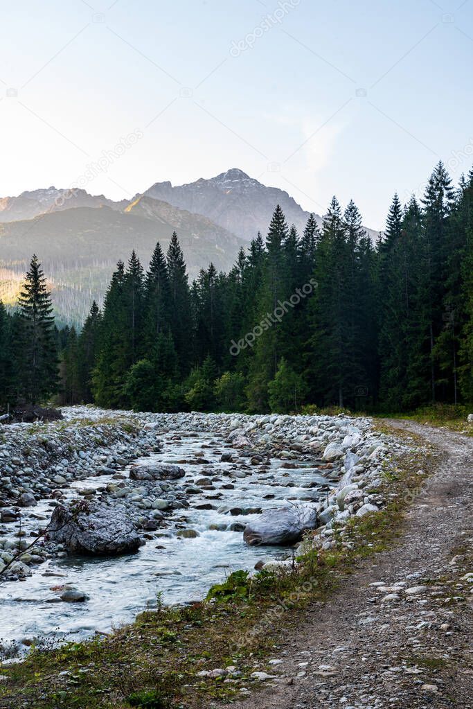 Lower part of Javorova dolina valley with Javorovy potok and peaks on the background in Vysoke Tatry mountains in Slovakia druring summer morning with clear sky