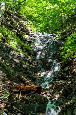 Çek Cumhuriyeti 'nin Moravskosske Beskydy dağlarındaki Moravka köyünün yukarısındaki Vysuty potok nehrine şelale.