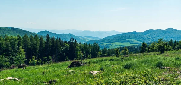 Näkymä Kanur Kukkulalta Sapessa Karpaty Vuoret Tsekillä Slovakian Rajoilla Myöhään — kuvapankkivalokuva