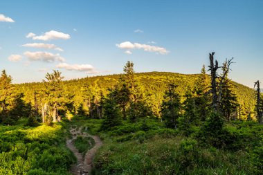 Jeseniky Dağları ve Cervena Hora Hiill Çek Cumhuriyeti 'nin Jeseniky Dağları' nda güzel bir yaz akşamı