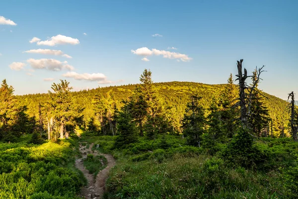 Jeseniky Dağları ve Cervena Hora Hiill Çek Cumhuriyeti 'nin Jeseniky Dağları' nda güzel bir yaz akşamı