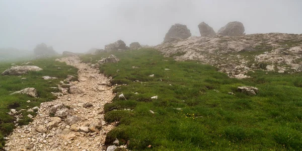 Bulutlu ve sisli bir günde İtalya 'nın Dolomites dağlarındaki Val Lasties vadisinde çimen ve büyük taşlarla yürüyüş yapmak.