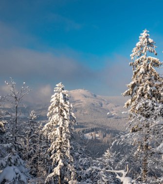 Lysa Hora tepesi, Moravskoslezske Beskydy dağlarında Polomka tepesinin aşağısındaki yürüyüş parkurundan.